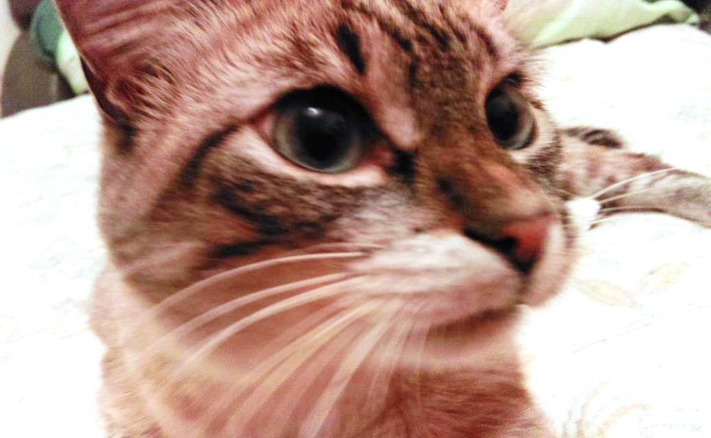 - Ща получишь в дыню!  
