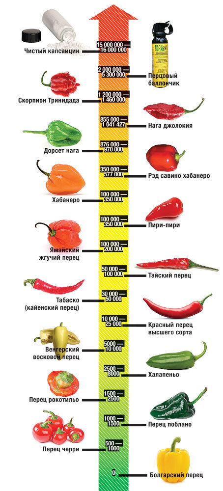 Переострили: чем потушить пожар во рту после острой пищи - 11 мая, Статьи «Кубань 24»