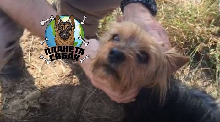 Подписывайтесь на канал, ставьте лайки. Поможете развитию канала. Спасибо.