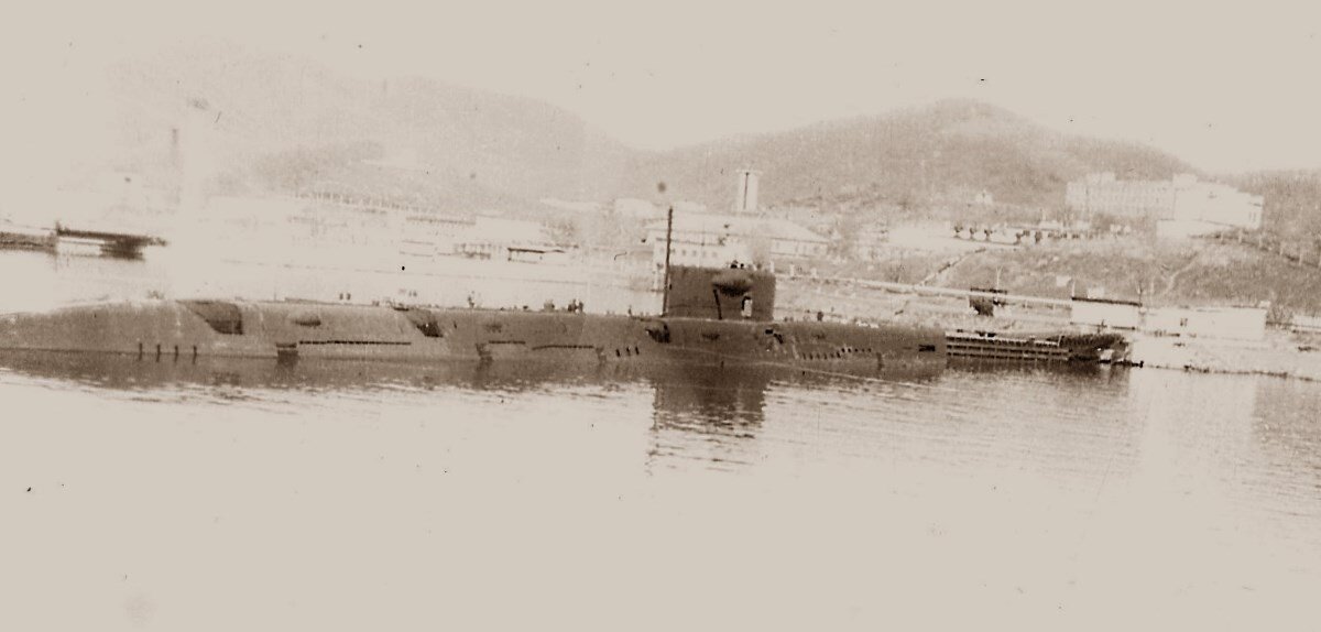 АПЛ проекта 675 и сопки над бухтой Павловского.