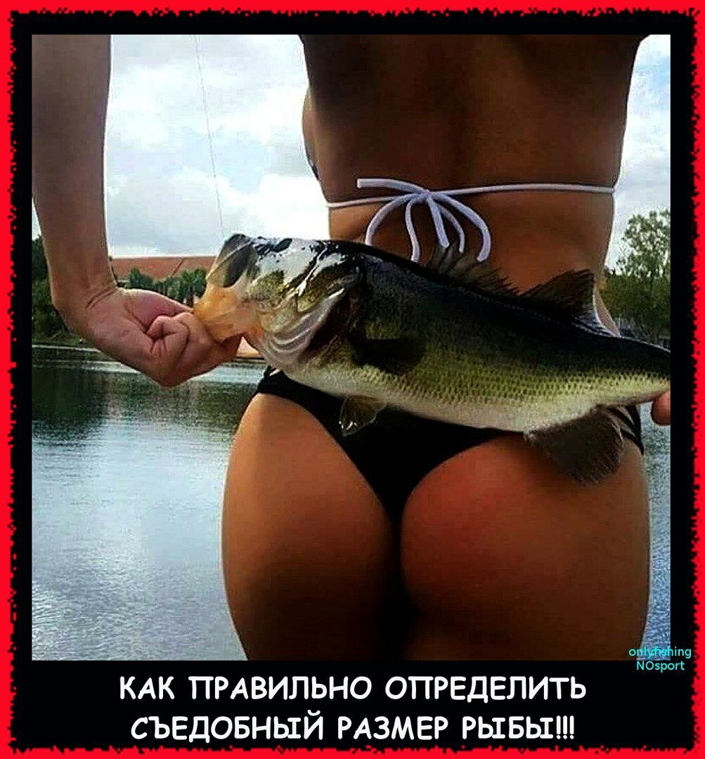 Рыба рыбачится картинки приколы