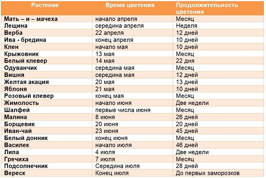 Имена конец мая. Календарь цветения медоносных растений в средней полосе России. Лучшие медоносы средней полосы России таблица. Сроки цветения медоносов средней полосы. Цветы медоносы таблица.