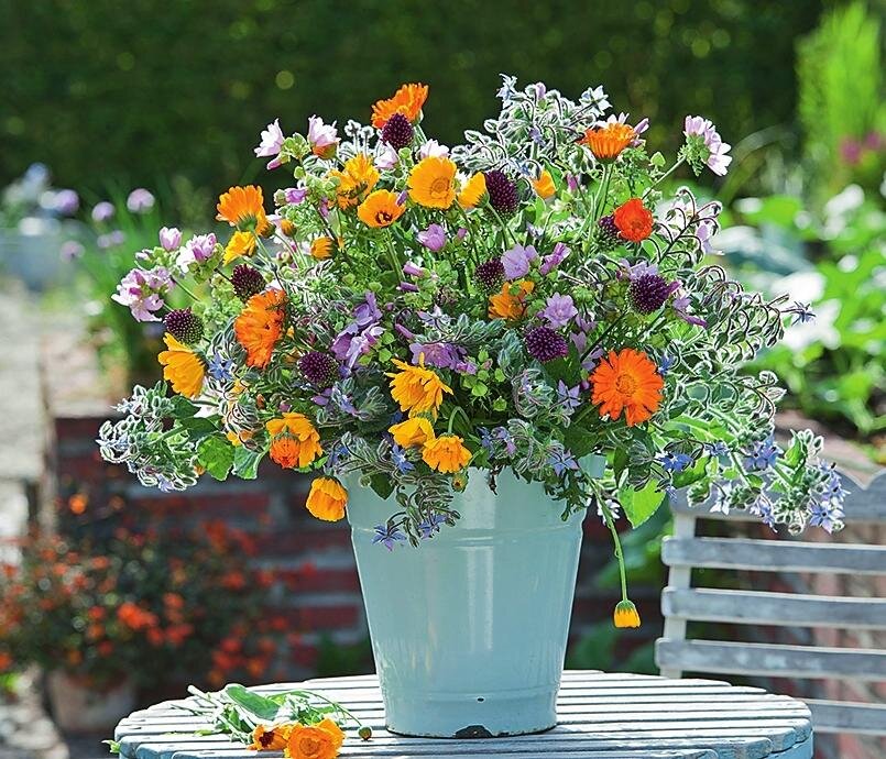 Пусть ваш сад. Доброго светлого утра. Доброе утро весна. Счастья вашему дому. Доброе утро ангелочек цветы.