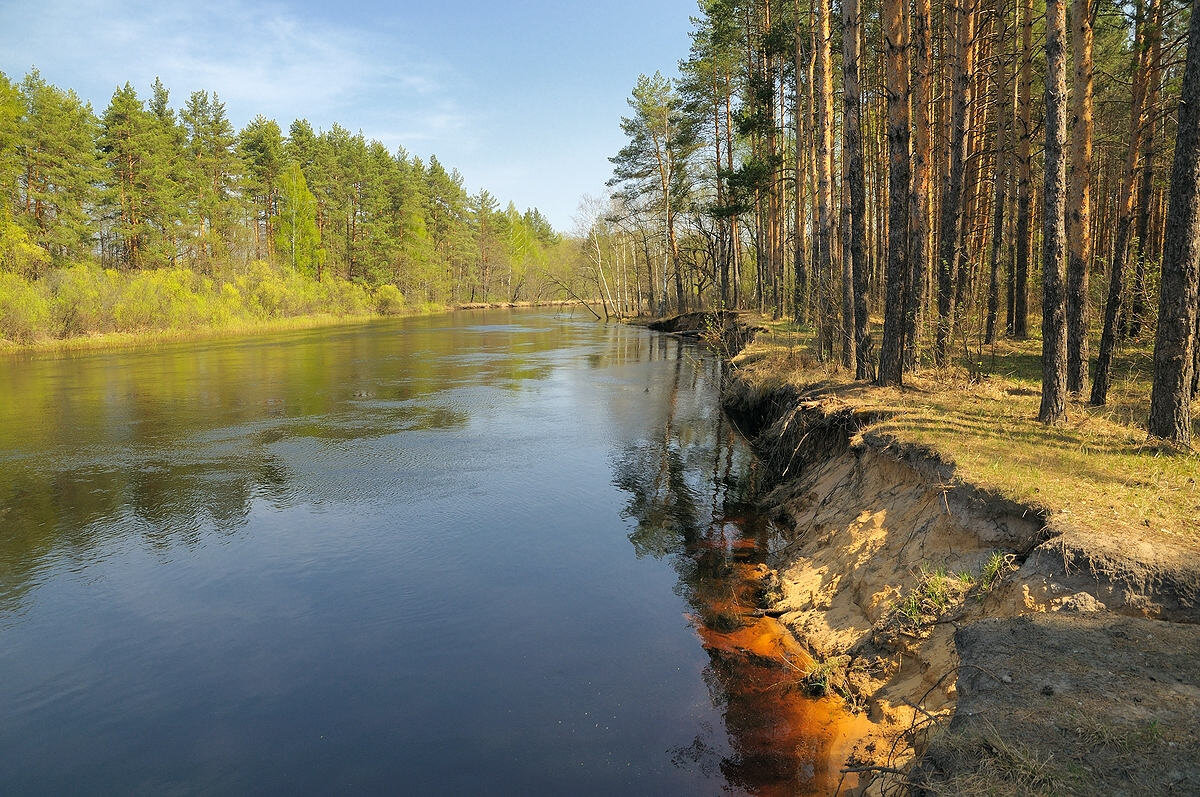 Река стоянка. Река пра Мещера. Рязанская область, Окский заповедник, река пра.. Река пра Деулино Рязанская область. Пра река Рязань.