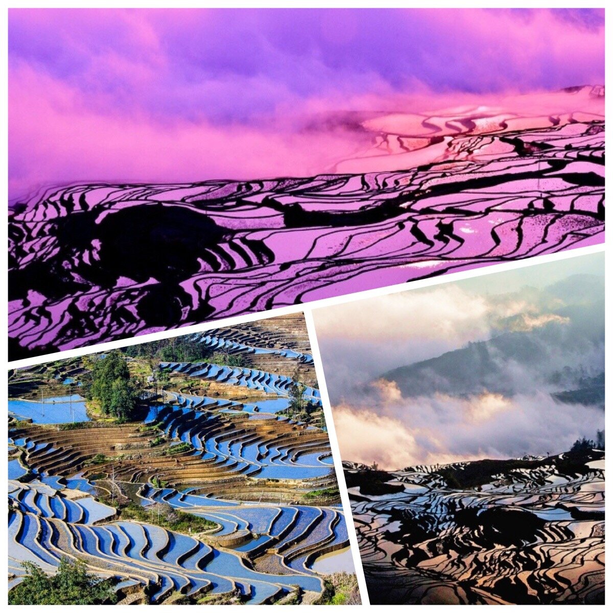 Jialiang Gao, www.peace-on-earth.org • CC-BY-SA-3.0
