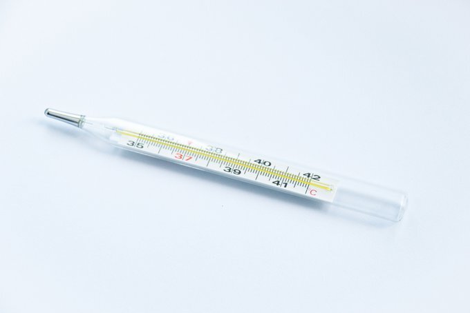 Фото: Shutterstock 