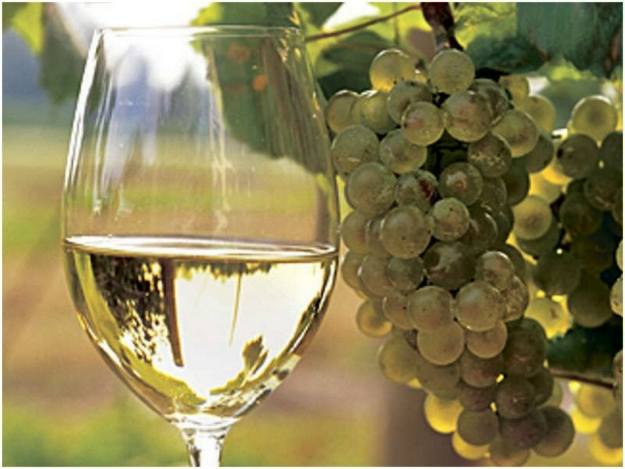 Вино виноград сахар. Белое вино. Белое вино и виноград. Виноградное вино. Белое вино в бокале.