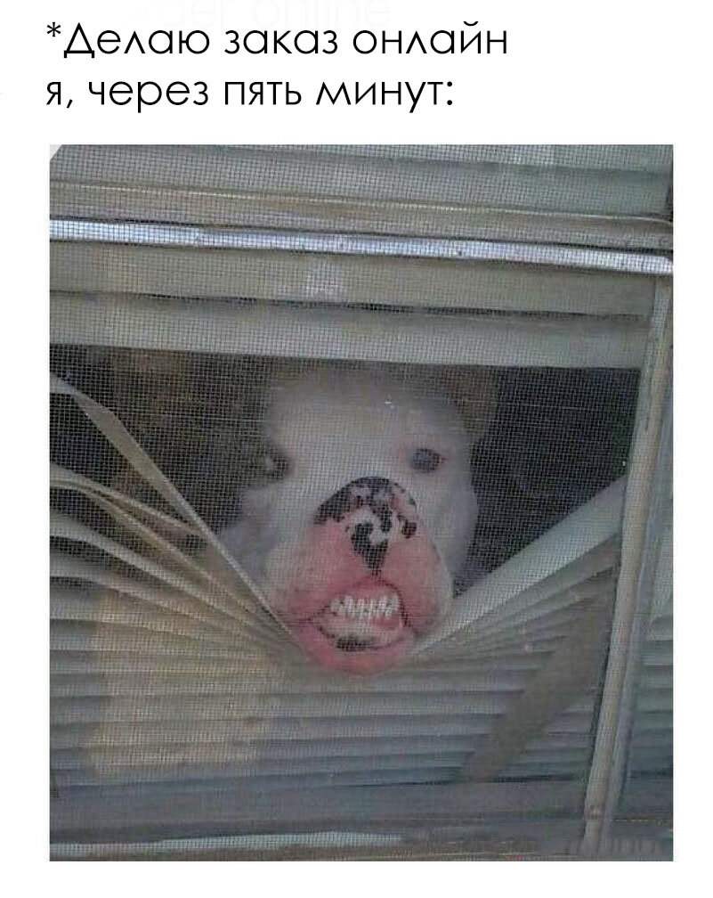 Источник: vk.com