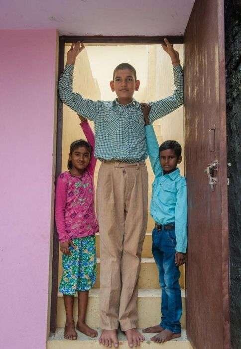 Источник: http://orangecat.net.ua