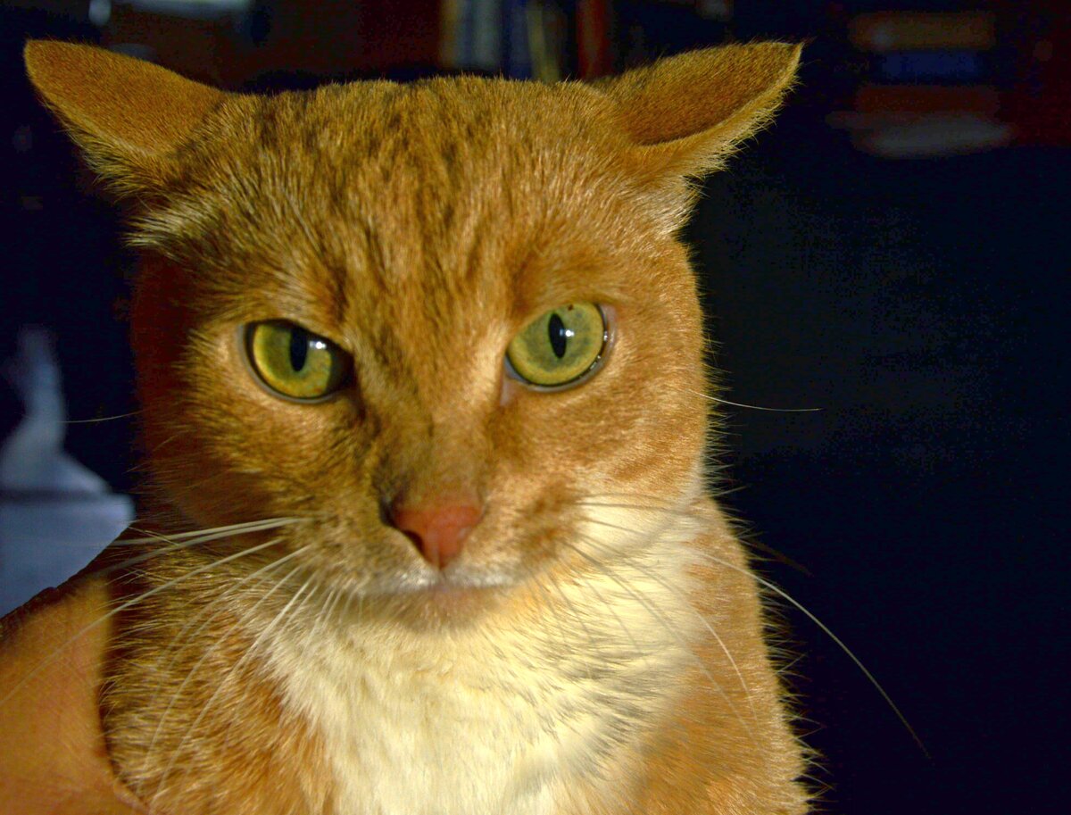 Космос озадачен. А что это значит?