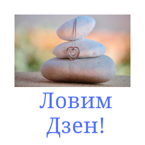 Смешные картинки канал дзен