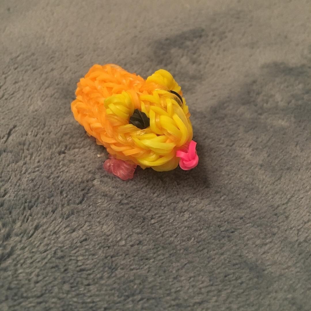 Это же хомяк!