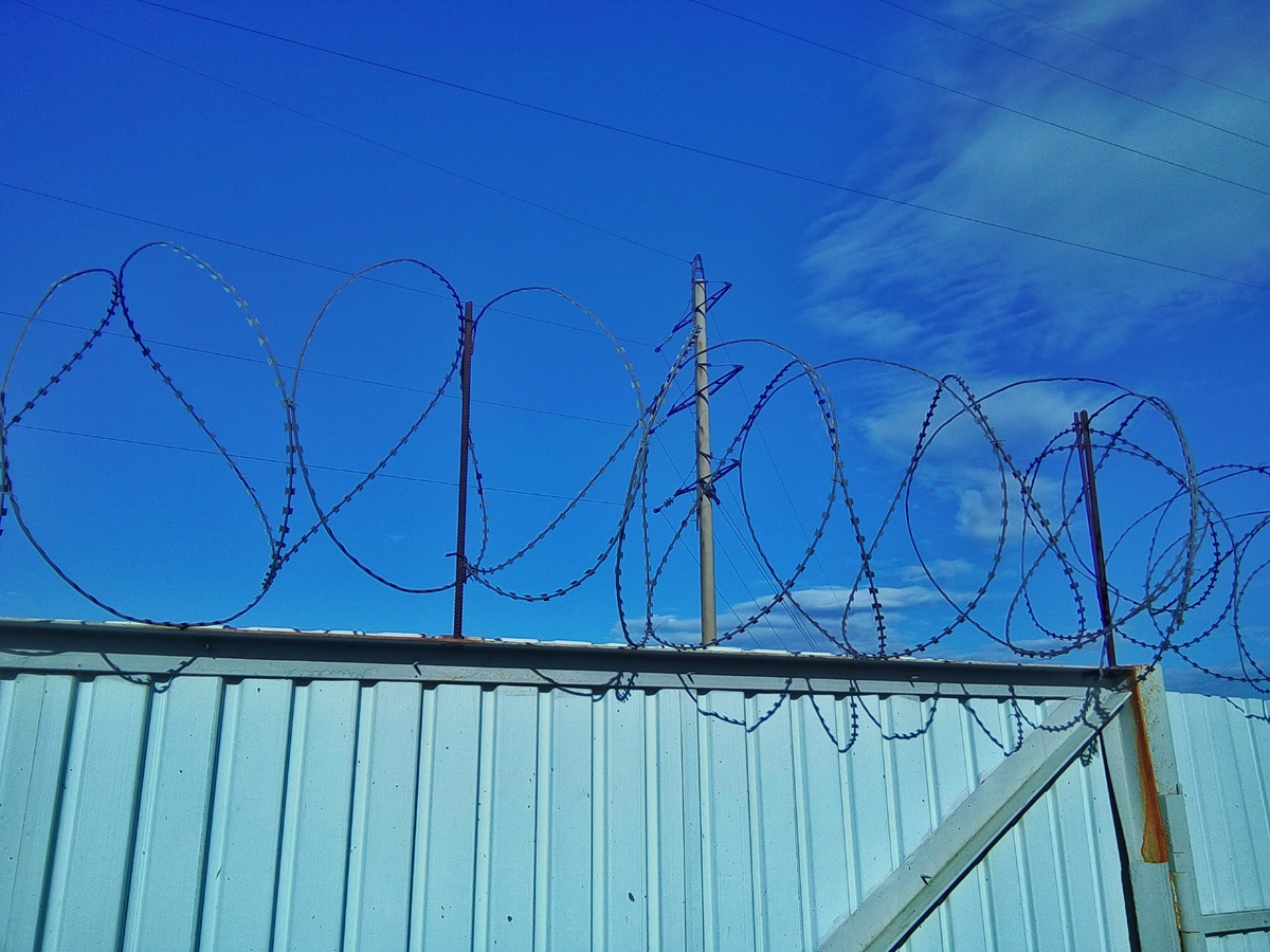 Снимок из моего архива. 