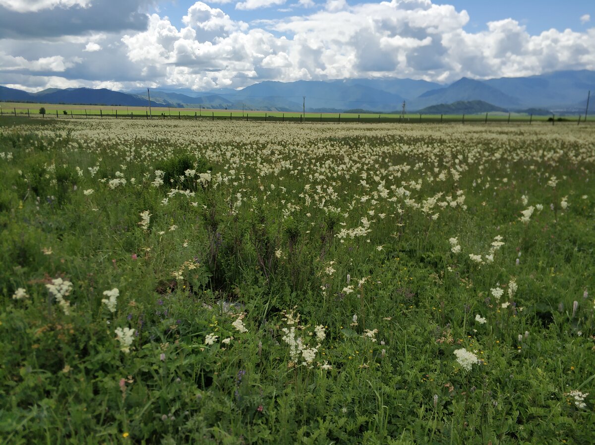 Красная горка у Уймонской долине