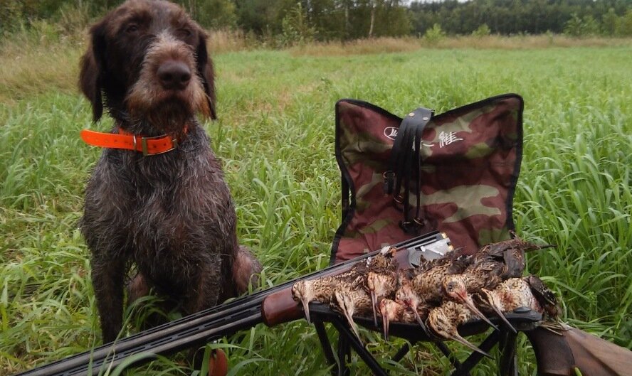 Охота на кабана в пермском крае 2020. Охота это термин. Какая охота разрешена в любое время. Охотник с ружьем. Охота в ульяновской области.