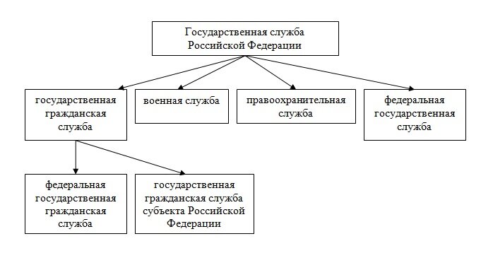 Виды государственной службы примеры