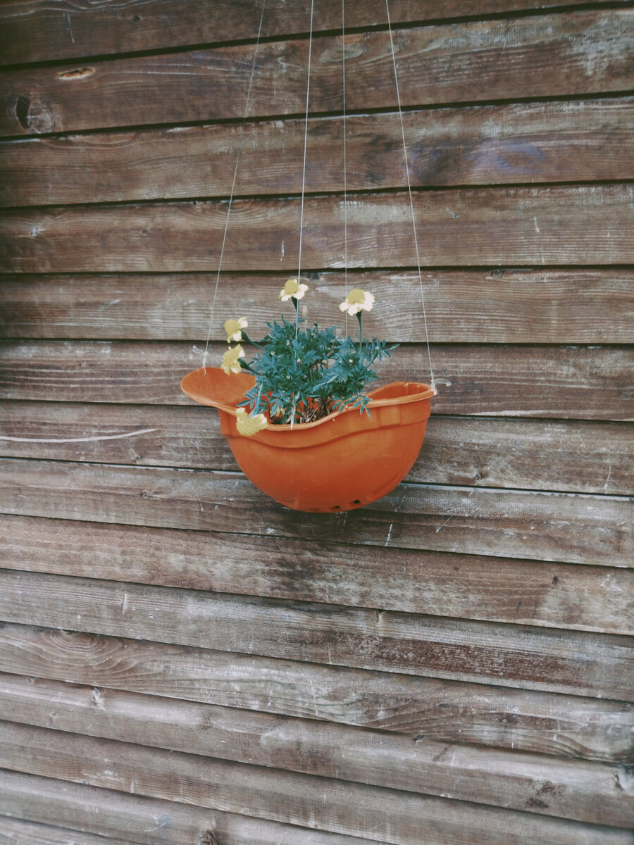 Строители тоже творческие люди