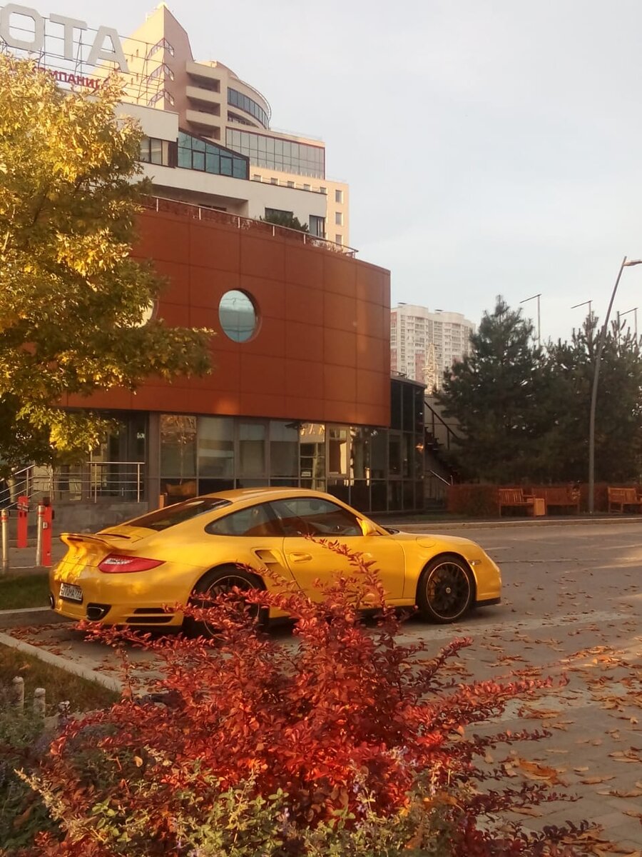 Тяга к роскоши свойственна многим