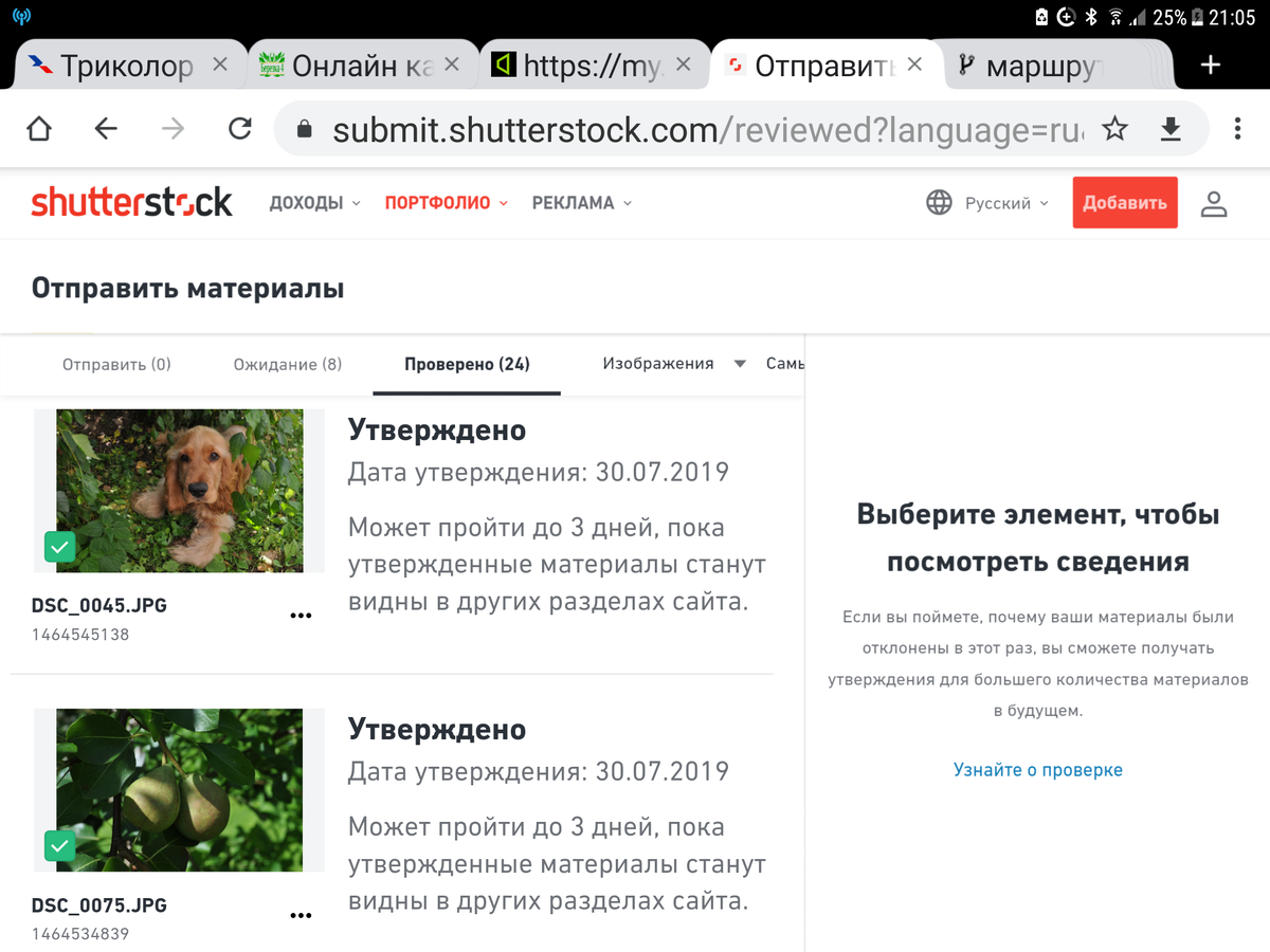 Фотосток