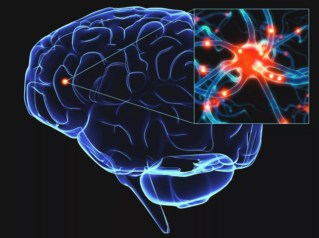 изображение из открытого источника