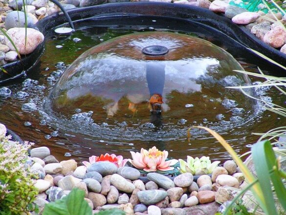 Личный водоем: как сделать пруд на загородном участке