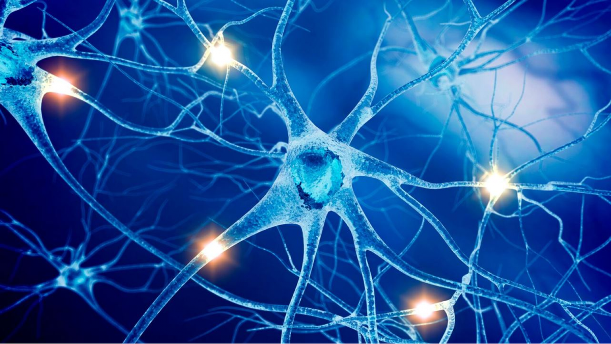 Разрабатывается новая неинвазивная терапия последствий инсульта 