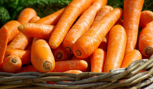 Совместный посев моркови и лука на одной грядке имеет свои преимущества. Ботва моркови отгоняет луковую муху, лук своими эфирными маслами не дает приблизиться насекомым к корнеплоду.-2