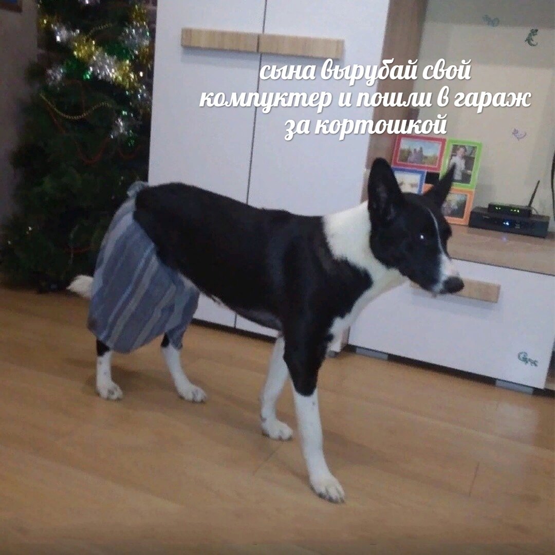 Пашли в гараж