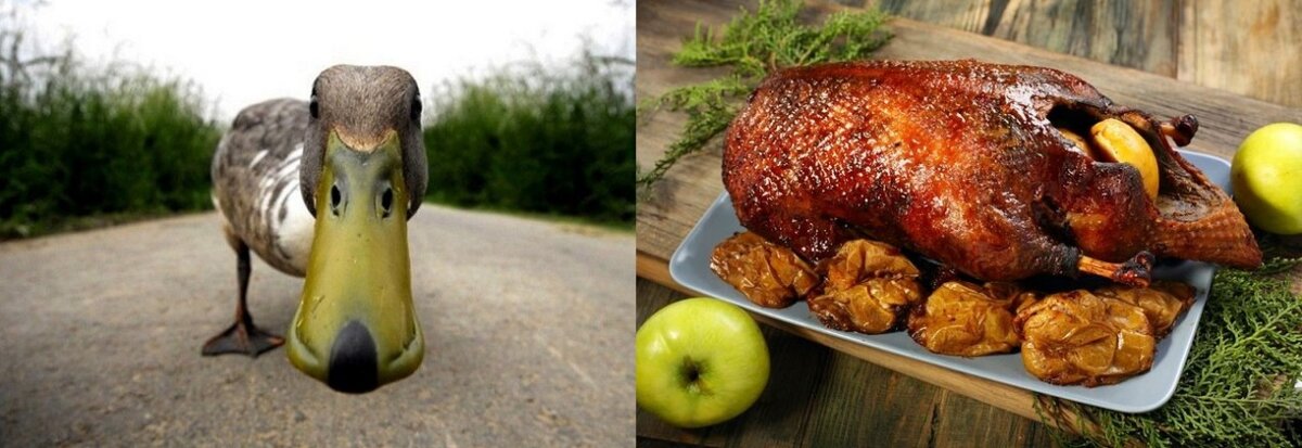 Нет утки - нет проблемы