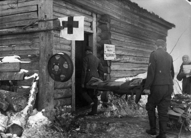 Фото из открытых источников