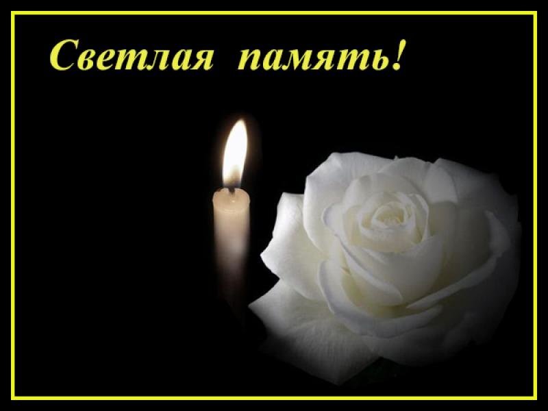 Нашему спорту