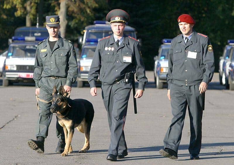 Полицейская собака: векторные изображения и иллюстрации, которые можно скачать бесплатно | Freepik