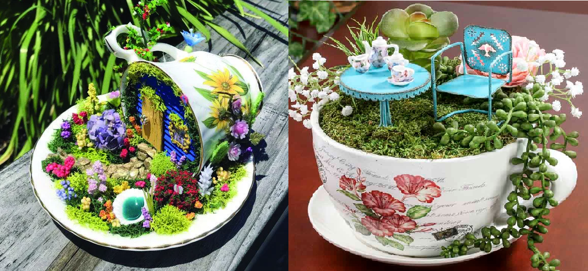 мини сад в чашке