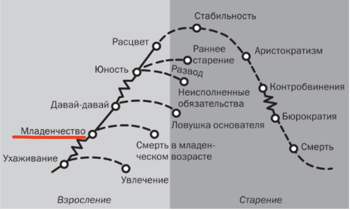 Кривая жизненного цикла организации по Адизесу. Модель жизненного цикла Ицхака Адизеса. Стадии жизненного цикла компании по Адизесу. Модель Адизеса жизненный цикл организации.