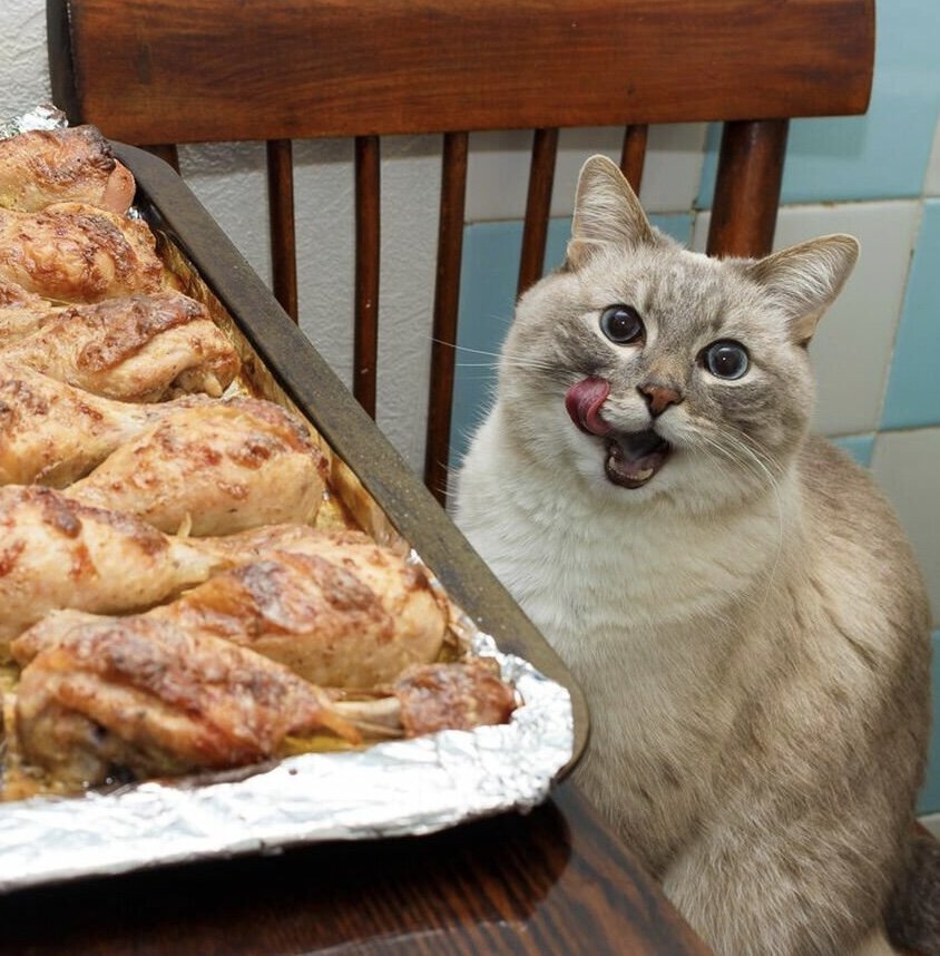 Фото с сервера Яндекс.Картинки