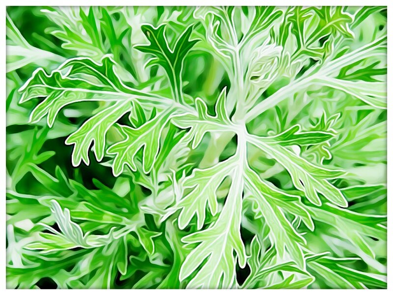 Фото взято из источника Яндекс картинки