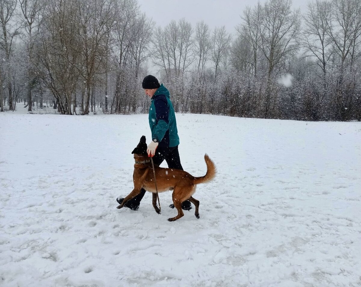 В тренировках главное терпение и ещё раз терпение.