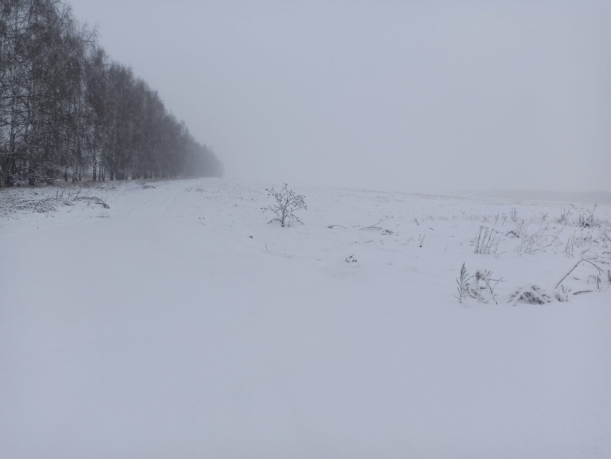 замело за несколько часов