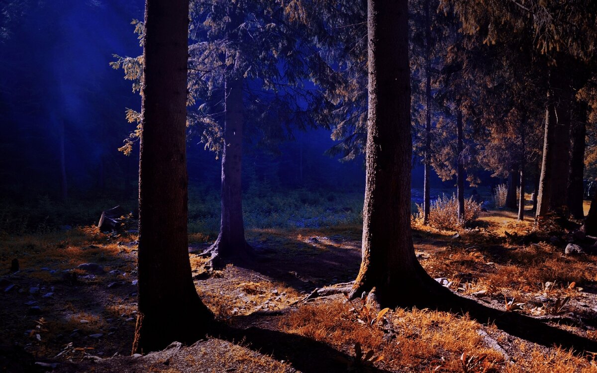 Источник: https://www.look.com.ua/ Взято в качестве иллюстрации 