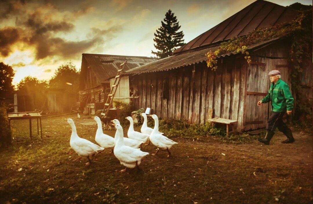 Я и мои друзья на время карантина)))