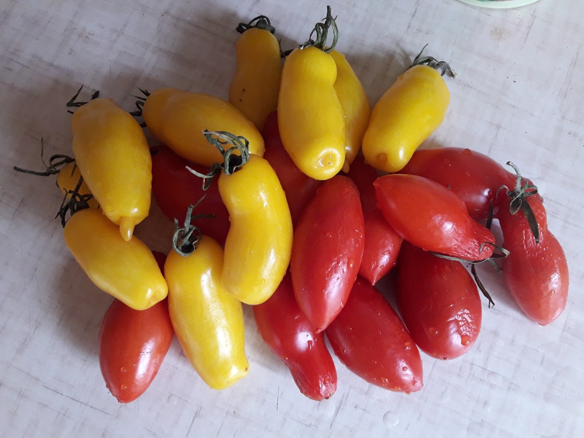 Сорт томата "Ниагара" прекрасно подойдёт для цельноплодного консервирования. А в сочетании с контрастными сортами, будет и красиво и вкусно.