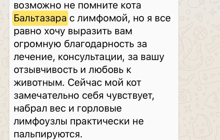 Мейн-кун Бальтазар проходивший лечение более 2-х лет назад, сообщение начинается со слов "возможно Вы не помните...", но я помню и бесконечно рада.