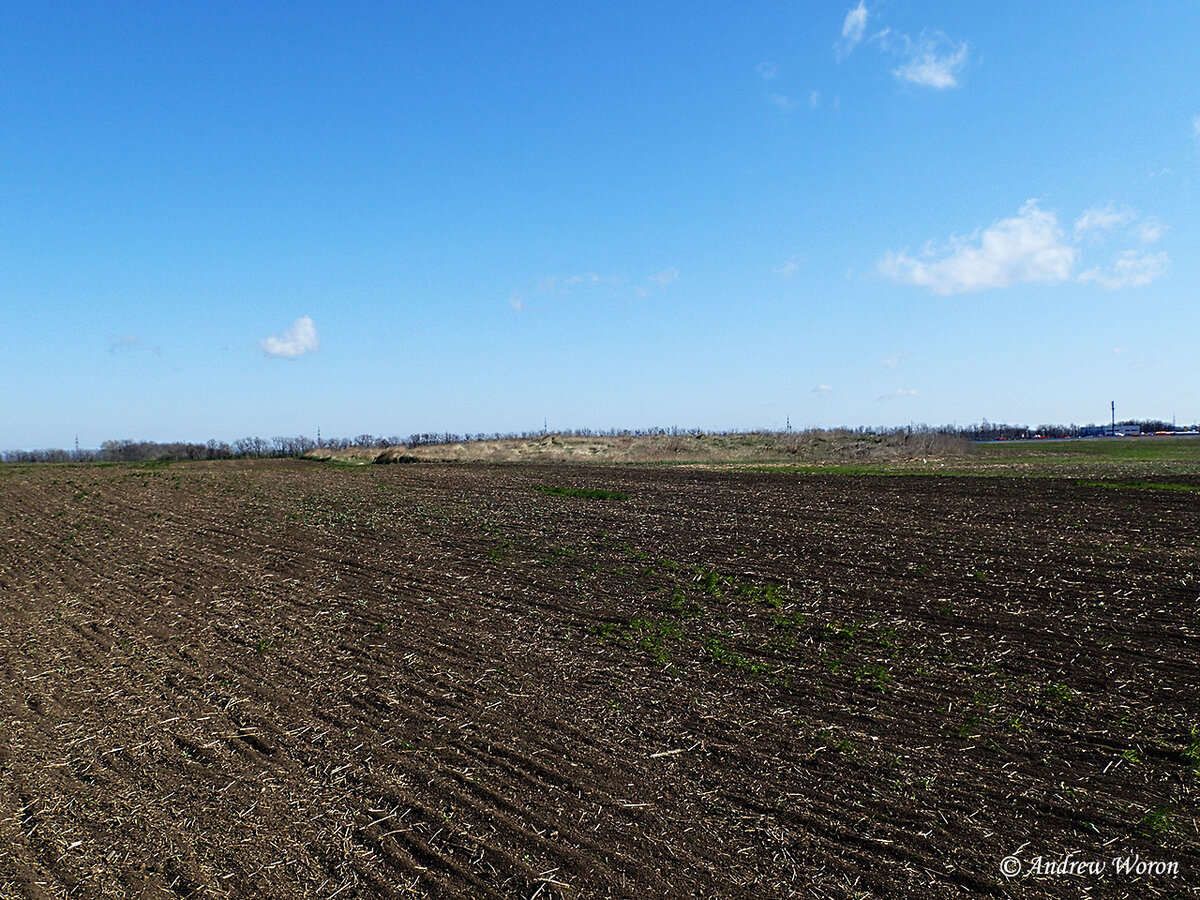 Курган в поле
