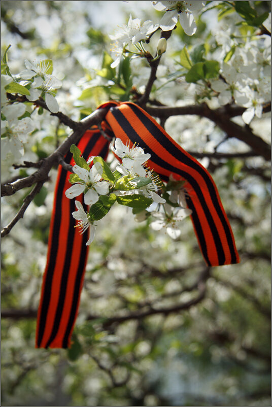 Фото взято из Яндекс.Картинки 