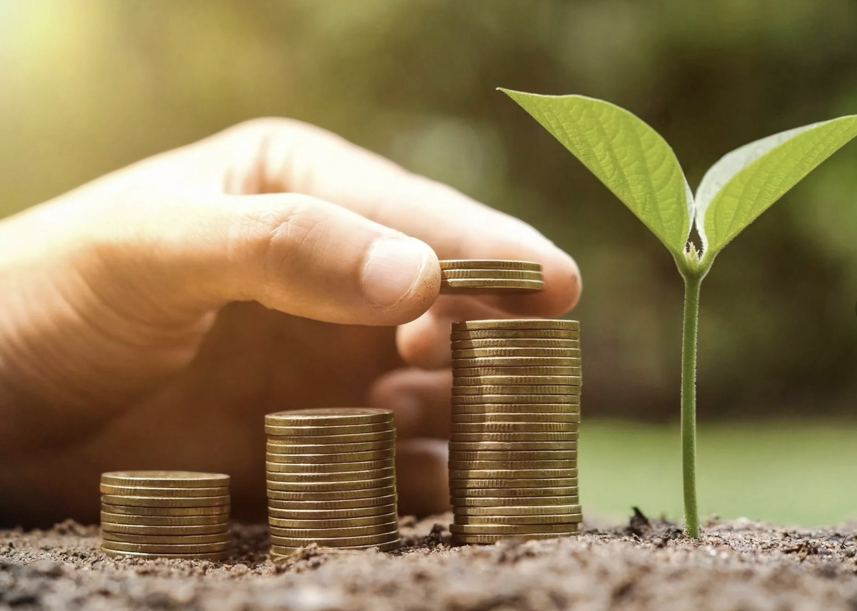 Взято из яндекс картинок.