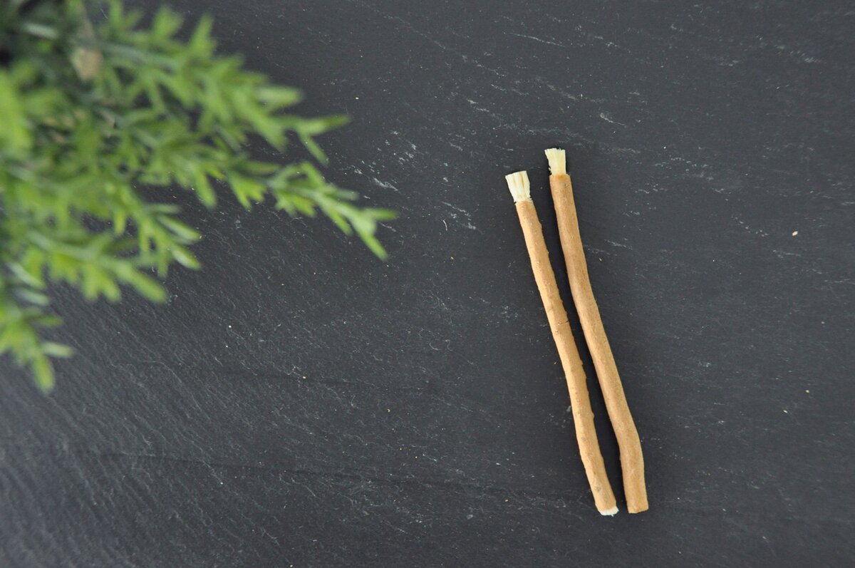 Сивак -корень дерева арак( Сальвадора персидская) используется для чистки зубов 