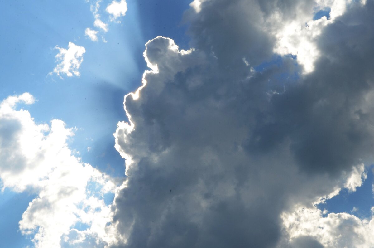 Фото из личного архива автора