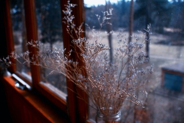 Вид с балкона