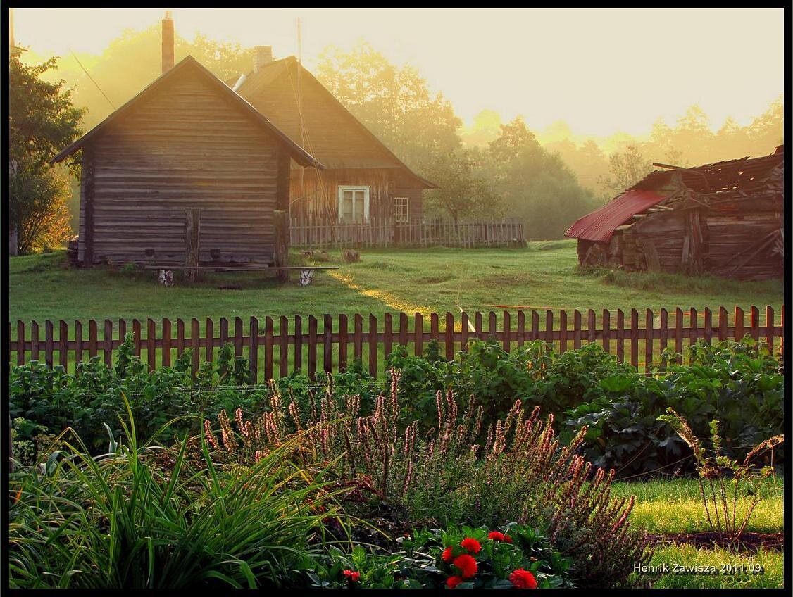 Фото дома в деревне летом