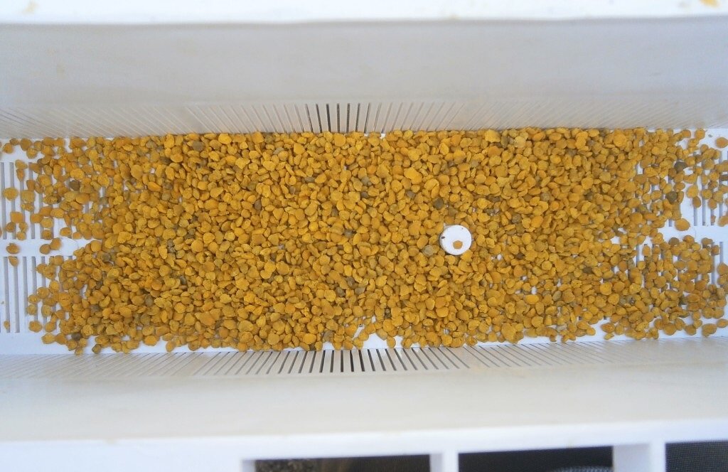 Пыльца в пыльце сборнике.